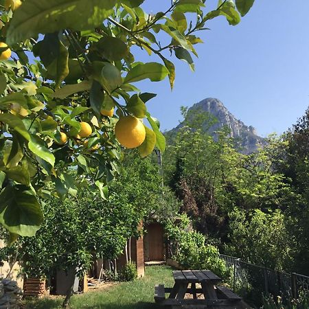 Au Pied Des Baous Bed and Breakfast Vence Eksteriør billede
