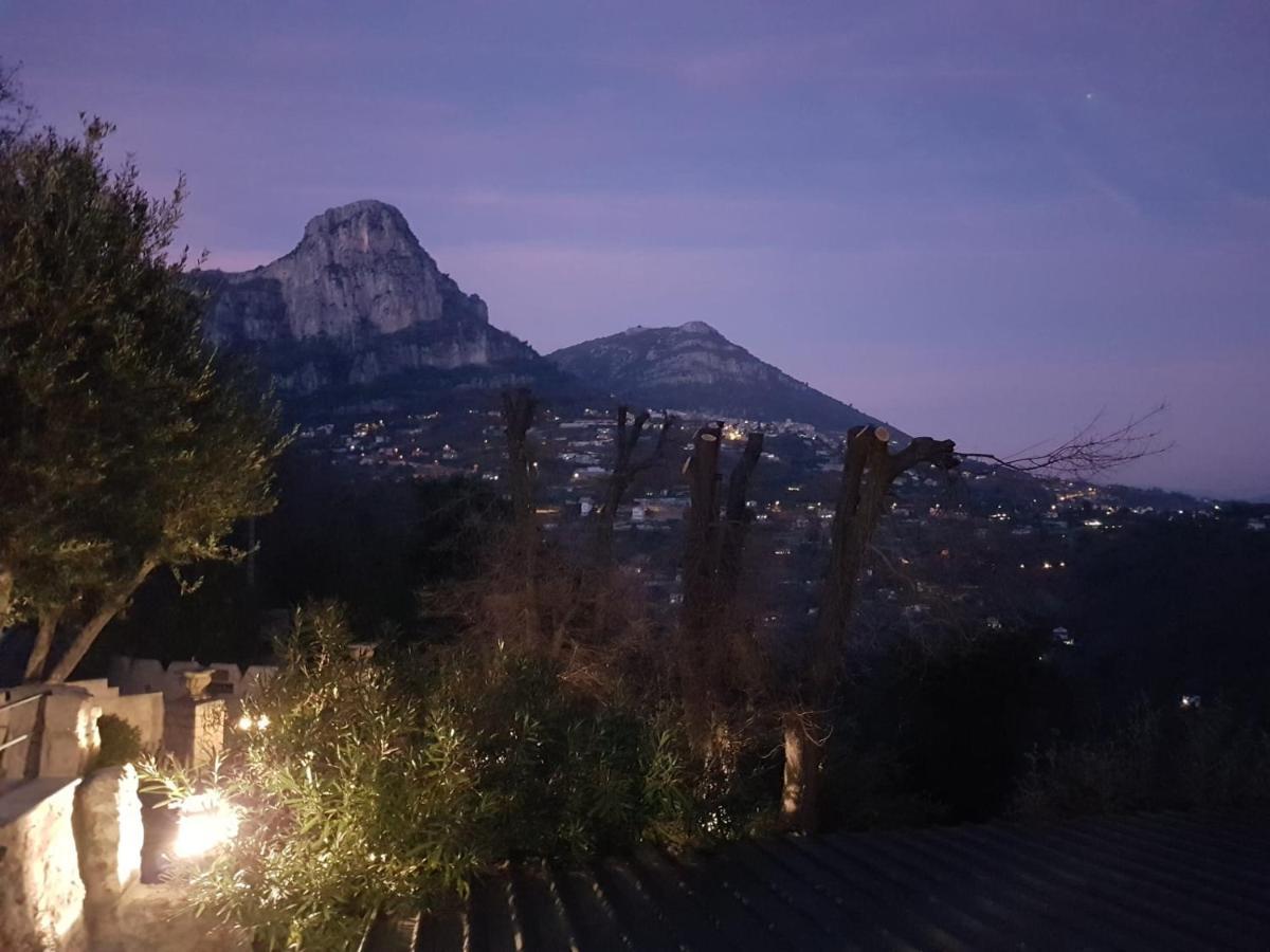 Au Pied Des Baous Bed and Breakfast Vence Eksteriør billede