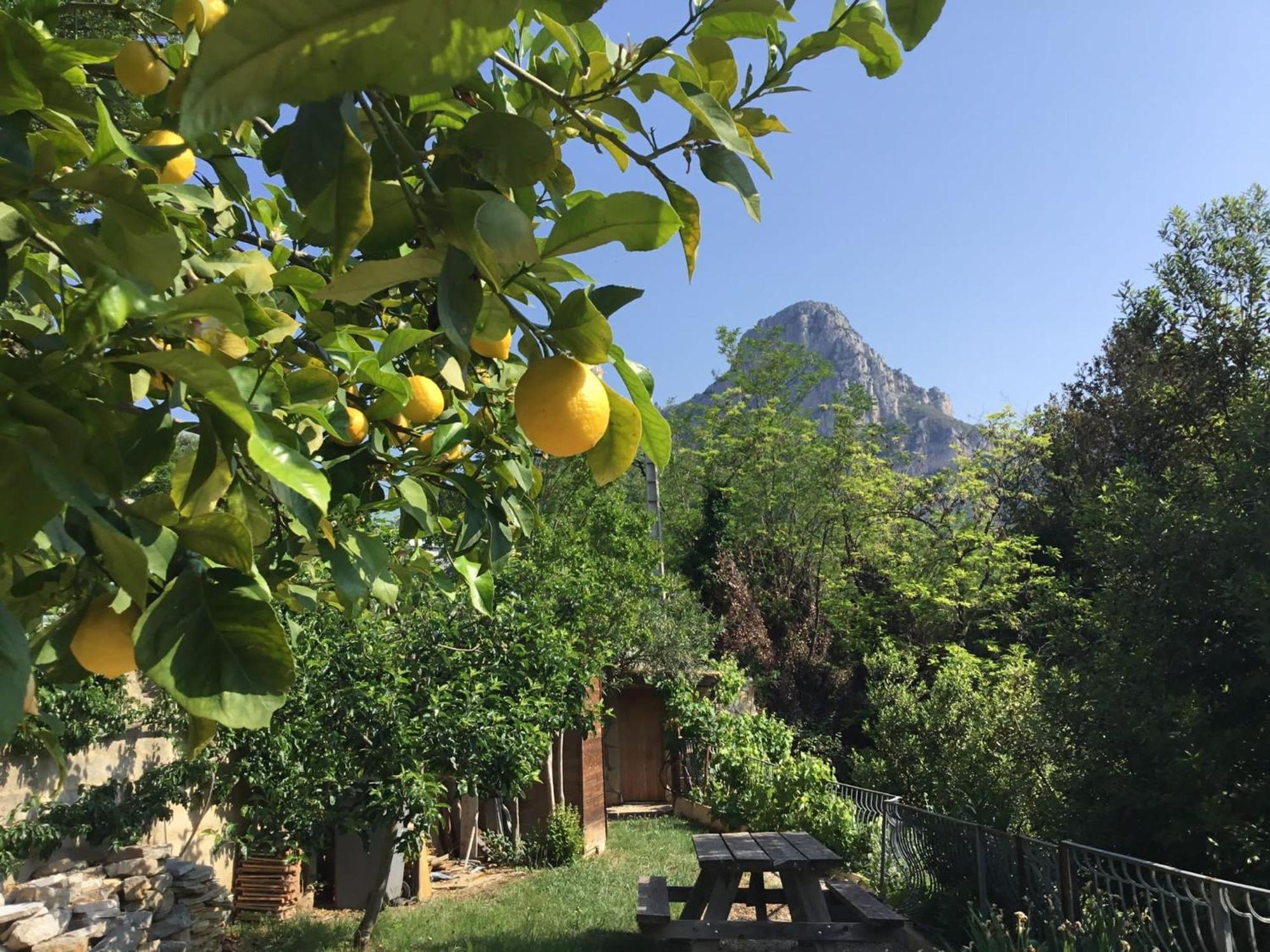 Au Pied Des Baous Bed and Breakfast Vence Eksteriør billede