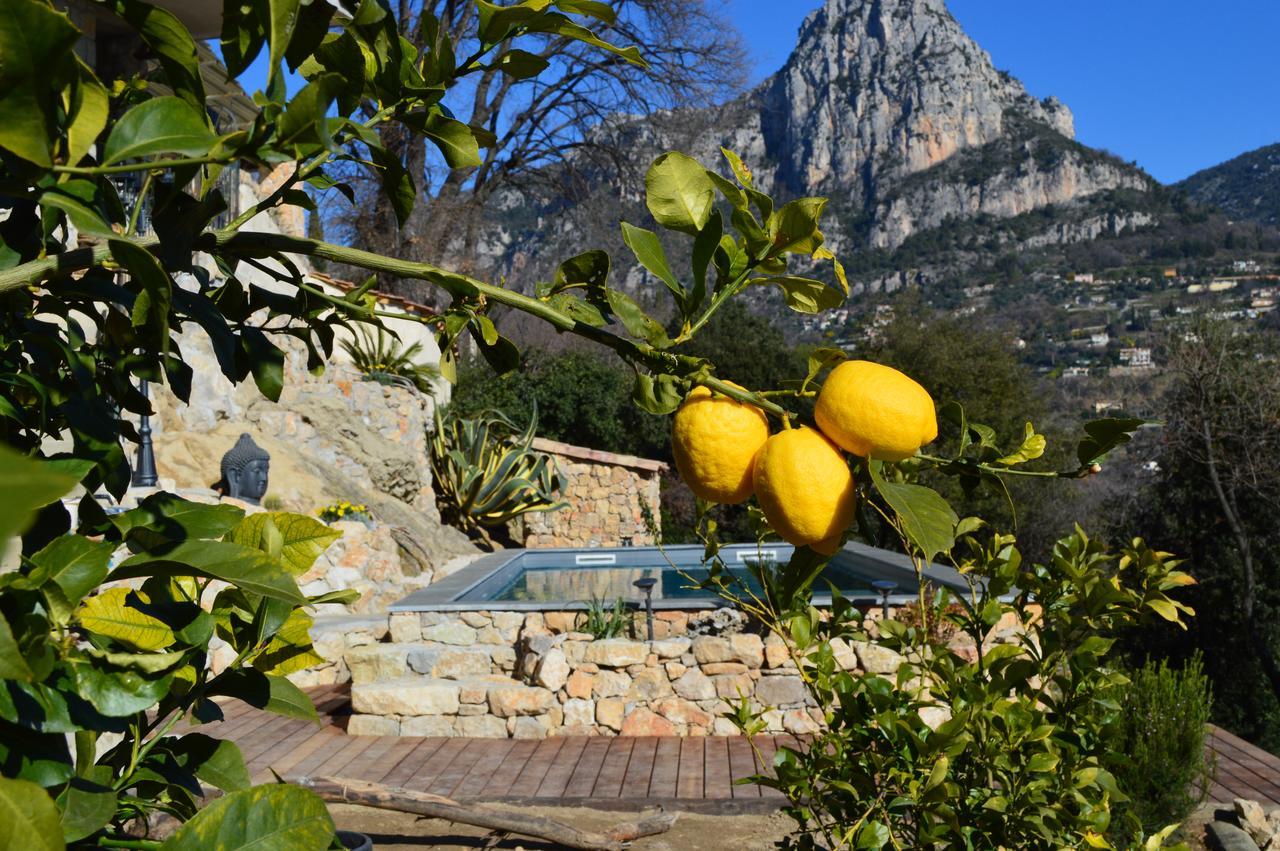 Au Pied Des Baous Bed and Breakfast Vence Eksteriør billede